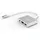 inca ITPC-04T Typ C, HDMI 4K, 30Hz (ITPC-04T)