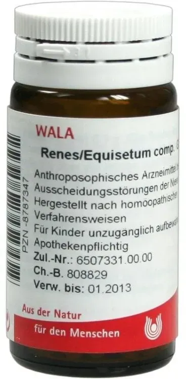 renes equisetum