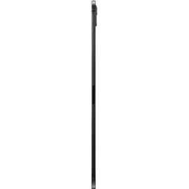 Apple iPad Pro 11" (5. Generation 2024) 2 TB Wi-Fi + Cellular Space Schwarz