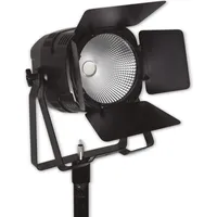 Eurolite LED Theatre COB 100 WW + CW