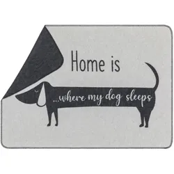 David Fussenegger Hundedecke 'Dackel home is...' 70 x 90 cm Filz