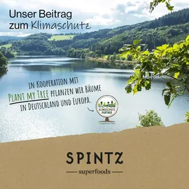 Spintz Moringa Kapseln 260 St.