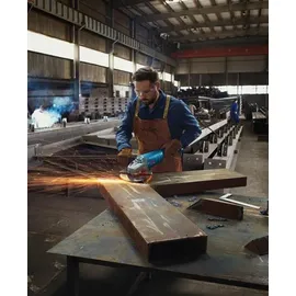 Bosch GWS 22-230 P Professional
