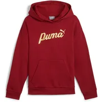 Puma Hoodie Script Rot 140