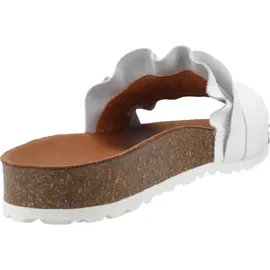 Verbenas Rocio Roda blanco 41