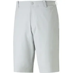 Puma Dealer Short 10" ash gray (04) 35