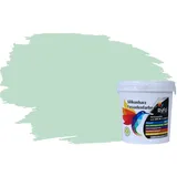 RyFo Colors Silikonharz Fassadenfarbe Lotuseffekt Trend Pfefferminz 1l - bunte Fassadenfarbe, weitere Grün Farbtöne und Größen erhältlich, Deckkraft Klasse 1