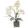 Homescapes Kunstblume, Orchidee weiß-pink im Glas-Topf, 42 cm