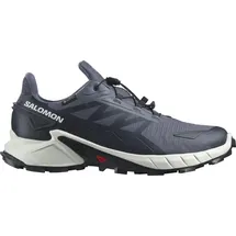 Salomon Supercross 4 GTX Herren Grisaille/White/Carbon 42