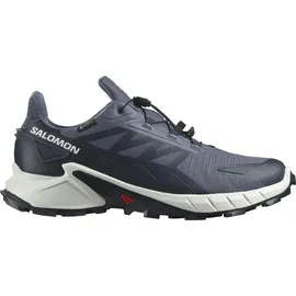 Salomon Supercross 4 GTX Herren Grisaille/White/Carbon 42