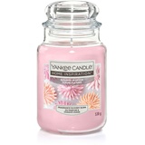 Yankee Candle Großes Glas Sugared Blossom