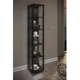fif Möbel Vitrine OPTIMA Standvitrine, Vitrinenschrank, Glasvitrine, Sammlervitrine schwarz
