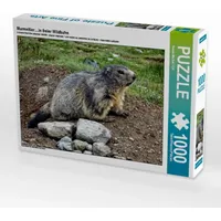 Calvendo Murmeltier....in freier Wildbahn Puzzle