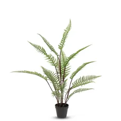Schwertfarn - Nephrolepis exaltata Kunstpflanze, UV Stabil