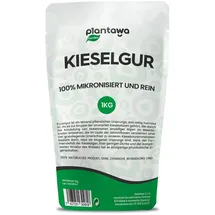PLANTAWA Kieselgur Pulver 1kg | Hochwertiges Diatomeenerde für den Gemüsegarten, Schädlingsbekämpfung, Saatgutkonservierung | Nachhaltig und Rein, Verpackung kann variieren
