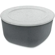 Koziol CONNECT L organic Box mit Deckel 2l