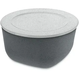 Koziol CONNECT L organic Box mit Deckel 2l