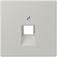 Jung Abdeckung für IAE/UAE LC 969-1 UA 205