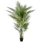 aplanta Künstliche Goldfruchtpalme - Eva | 170 cm