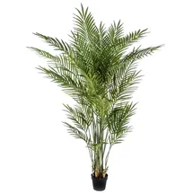 aplanta Künstliche Goldfruchtpalme - Eva | 170 cm