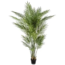 aplanta Künstliche Goldfruchtpalme - Eva | 170 cm