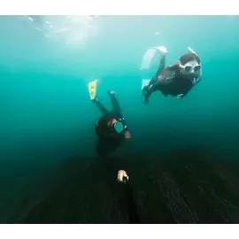 GoPro AGXTS-002 Extension Pole + Shutter Remote, Verlängerungsstange, Schwarz