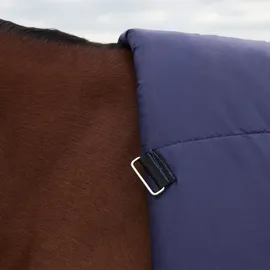 Weatherbeeta Comfitec Plus Dynamic Turnout High Neck 220g, 150