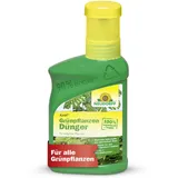 NEUDORFF Azet Grünpflanzendünger – 100% natürlicher Bio Dünger für schnelles Wachstum und tiefgrüne Blätter aller Grünpflanzen und Palmen, 250 ml