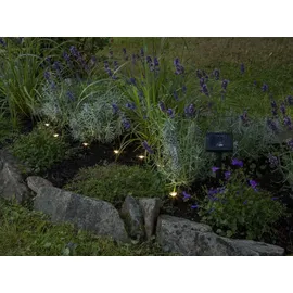 Star Trading LED-Solar-Lichterkette 'Mini Spot', Kunststoff - Schwarz