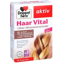 Doppelherz Haar Vital + Zink + Hirseextrakt