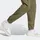 adidas Essentials Small Logo Stanford Hosen Olive Strata / Black 2XL