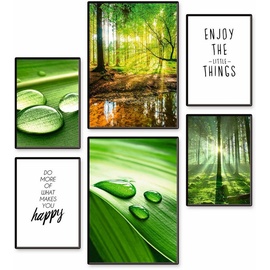 Artland Poster »Genieße die Natur«, Baumbilder, (Set, 6 St.), grün