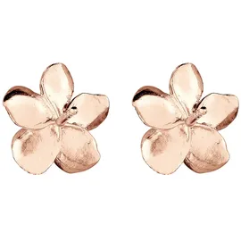 Elli Ohrstecker Frangipani Blüte roségold 925 Sterling Silber onesize