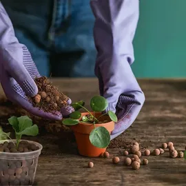 Biovita Blumenerde 5 l
