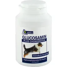 Avitale Glucosamin+Chondroitin für Hunde 120 St.