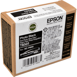 Epson Tinte C13T850100 T8501 photo black