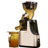 Acopino Delicato Slow Juicer champagner