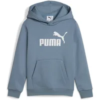Puma Hoodie Coolblue 116
