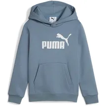 Puma Hoodie Coolblue 116