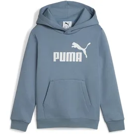Puma Hoodie Coolblue 116