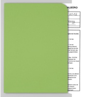 ELCO 100 ELCO Sichthüllen Ordo discreta DIN A4 grün