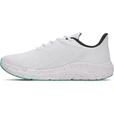 Under Armour Charged Pursuit 4 BL Weiß/Grün 47
