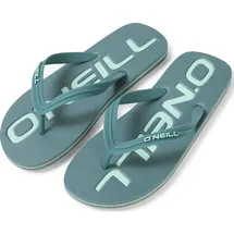 O'Neill Profile Logo Sandals north atlantic (15047)