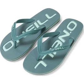 O'Neill Profile Logo Sandals north atlantic (15047)