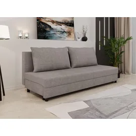 Homesy Schlafcouch mit Bettkasten 2-Sitzer Grau
