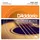 d’addario EJ41 - 12-String Acoustic Phosphor Bronze | 009-045 - Saiten Westerngitarre