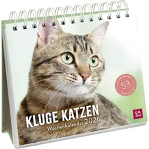 Groh Wochenkalender 2026: Kluge Katzen