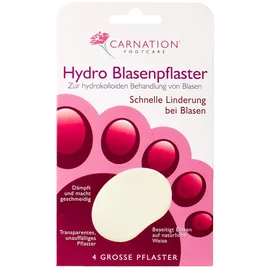 Dr. Dagmar Lohmann Carnation Hydro Blasenpflaster