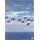 Heye Quint Buchholz: Augenblicke Kalender 2027