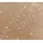 Quick Star Faltpavillon 2 x 3 m 4 Stück Beige